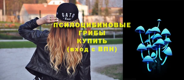 твердый Балахна